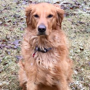 Meet your Posher, Jan